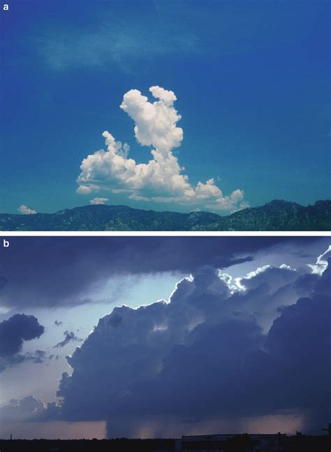 6 Photographs of a single cumulus congestus cloud over Arizona on top ...