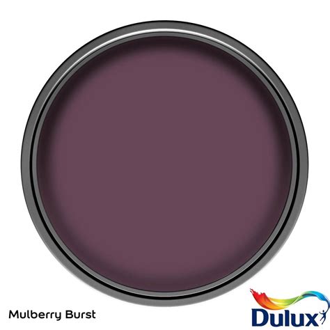 Dulux Feature Wall Mulberry Burst Matt Emulsion Paint 1 25L Homebase