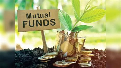 Mutual Fund Investors