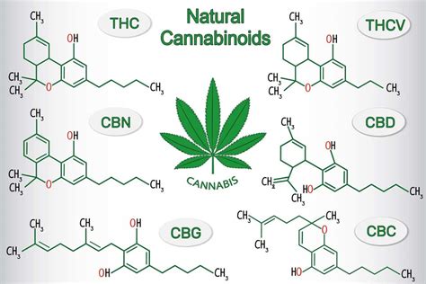 What Does Cannabigerol Cbg Cannabinoid Do Green Cultured