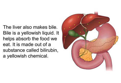 Liver Diseases