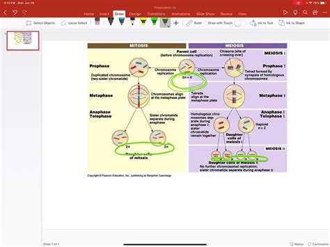 Solvedwhich Of The Following Statements Correctly Identifies A Key Difference Between Mitosis