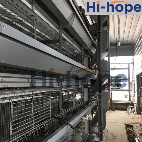 Automatic H Type Battery Cage System For Layer Broiler Farm China