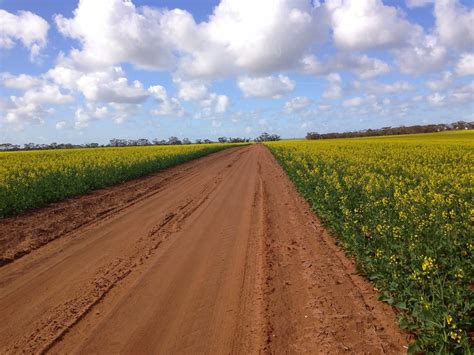 Route De Campagne Canola Photo Gratuite Sur Pixabay Pixabay