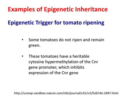 PPT - The role of Epigenetic Inheritance PowerPoint Presentation, free ...