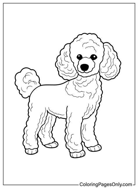 Printable Coloring Page Poodle Free Printable Coloring Pages