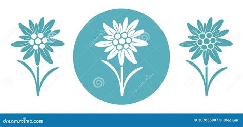 Edelweiss Logo Isolated Edelweiss On White Background Stock Vector