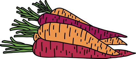 Doodle Freehand Sketch Drawing Of Carrot Vegetable Png