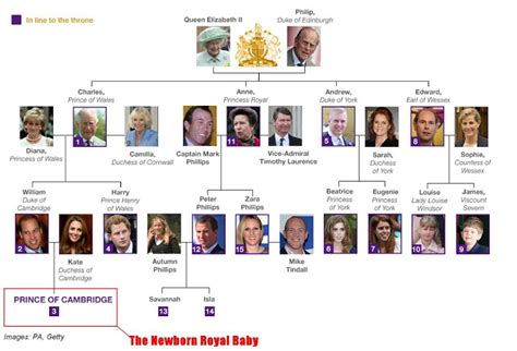 Msalya-myfamily: LINE OF ROYAL SUCCESSION BRITISH THRONE