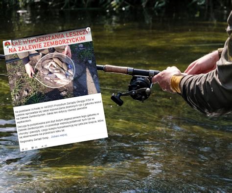 Łowisz ryby w Zalewie Zemborzyckim Lubelski PZW ma ważny komunikat