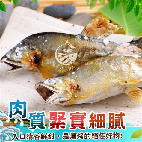 母香魚