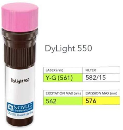 Erf Antibody Dylight Novus Biologicals Ml Dylight