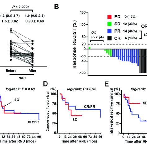 Association Between Tumor Response To Nac By Recist Criteria And The