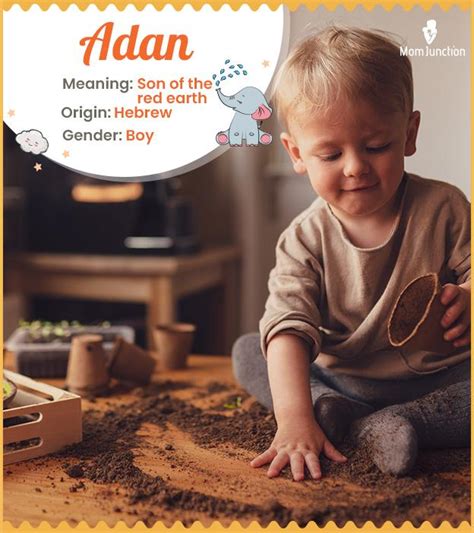 adan  meaning origin history  key insights