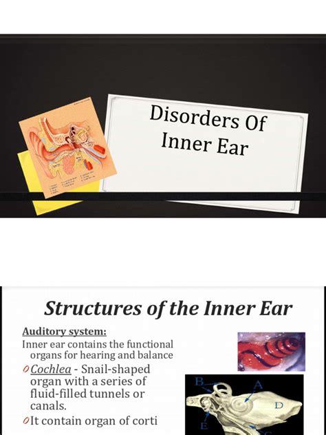 Disorders of Inner Ear | PDF | Vertigo | Ear