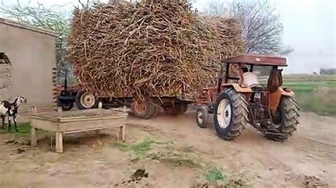 Two Tractors Pulling Overloaded Sugarcane Trolley Ifi Vlogs