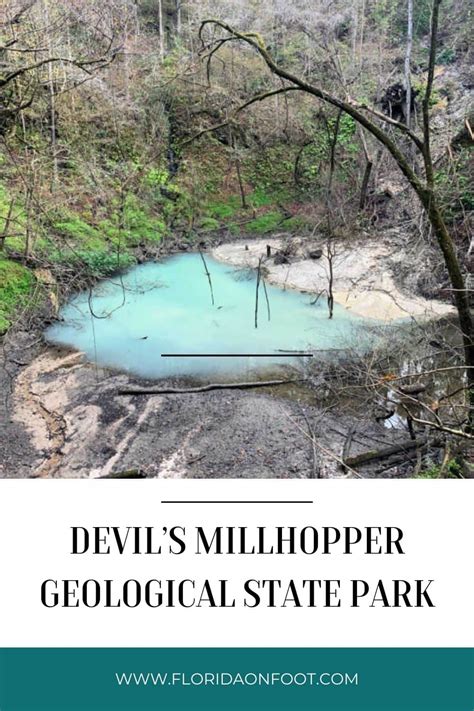 Devil’s Millhopper Geological State Park Visit A Sinkhole Florida On Foot