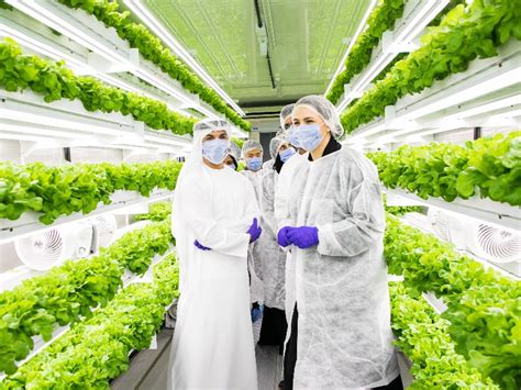 Korean And Emirati Agritech Startups Join Forces To Tackle Uaes Food