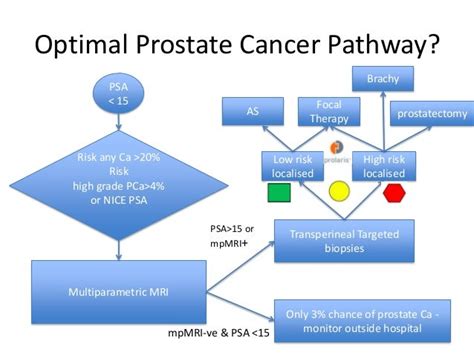 Prostate Cancer Modernising The Diagnostic Pathway 2013 06 11 By Ma