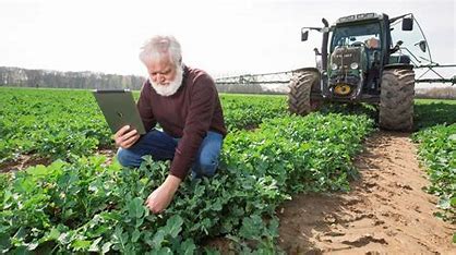 Setor Agropecu Rio Brasileiro Surpreende E Supera Expectativas Em