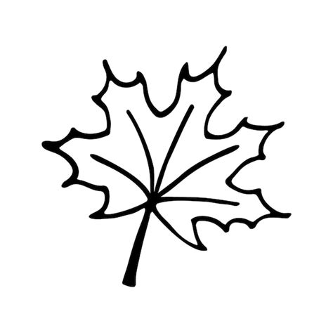 Premium Vector Doodle Maple Leaf Hand Drawn Vector Illustration