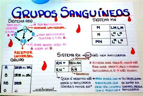 MAPA MENTAL SOBRE GRUPOS SANGUÍNEOS Maps4Study