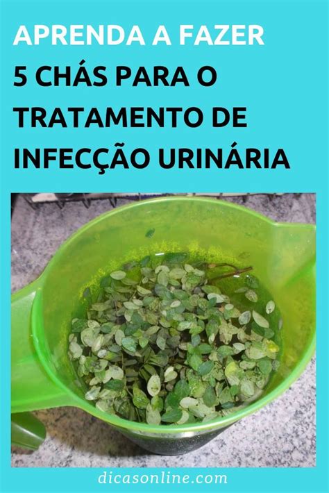 11 Remédios caseiro para Infecção Urinária Herbalism Natural