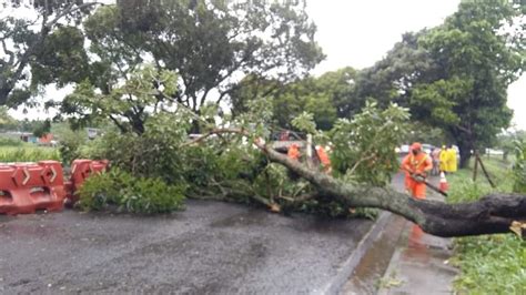 TVM El Salvador on Twitter Loúltimo Las lluvias de esta tarde