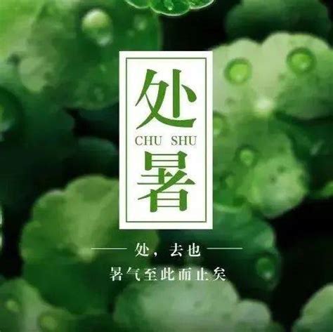 【二十四节气养生】健脾润燥迎处暑，甘麦大枣打秋虎运动功效天气