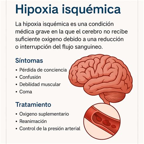 Por Que A Isquemia Pode Agravar A Hipóxia - ¿Qué es la hipoxia isquémica y por qué es tan grave? - NeuroAiD™