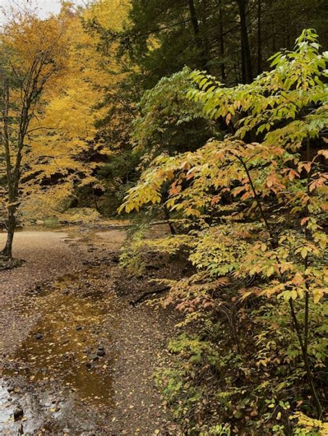 Hocking Hills Fall Foliage Ohio