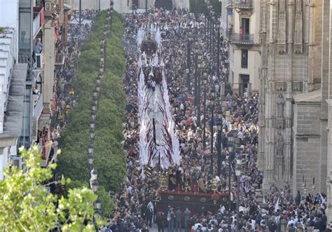 Hermandades Del Domingo De Ramos En Sevilla Descubre La Tradici N