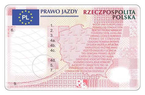 Tak wygląda nowe prawo jazdy Zobacz ZDJĘCIA Gazeta Wrocławska