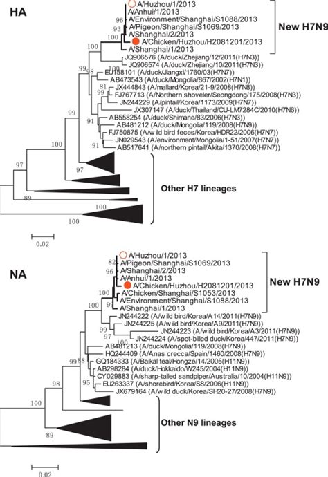 Phylogenetic Trees Of Influenza Hemagglutinin Ha And Neuraminidase