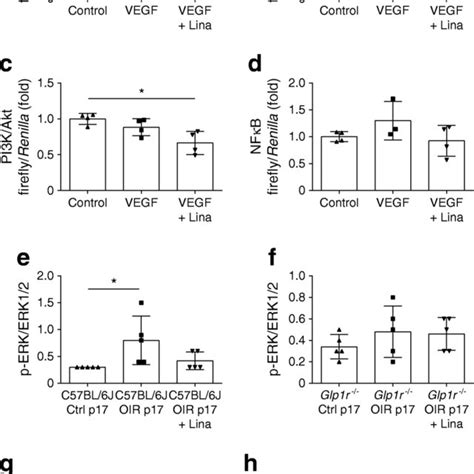 Receptor Tyrosine Kinase Signalling In HUVECs Treated With VEGF And