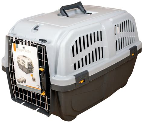 Лучшие переноски для кошек в 2025 году: в самолёт, поезд и автомобиль ...