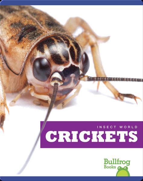 Insect World Crickets Book By Mari Schuh Epic