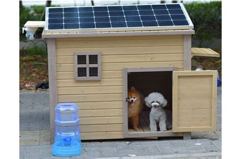 diy solar heater for dog house - Chock-Full E-Zine Frame Store