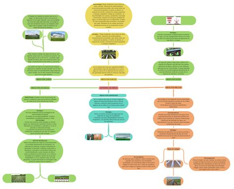 Sistemas De Riego Coggle Diagram