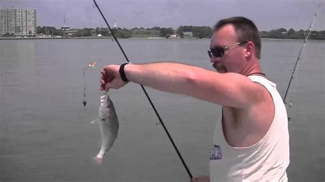 Croaker Fishing YouTube