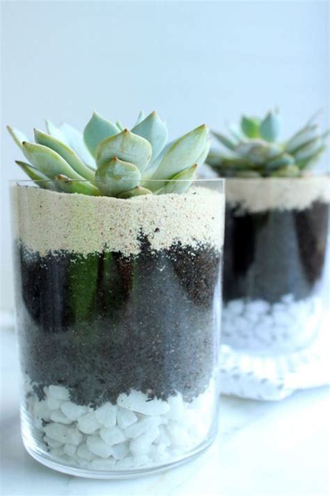 38 Indoor Succulent Display Ideas To Beautify Your Home Homemydesign