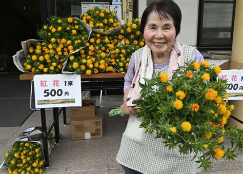 山形県の花「紅花」見ごろ ジブリ「おもひでぽろぽろ」の舞台で 写真特集111 毎日新聞