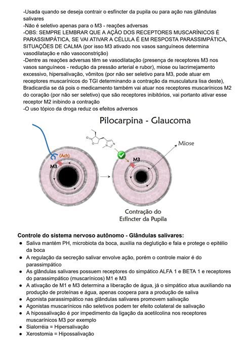 SOLUTION Farmacocin Tica Sistema Nervoso Autonomo Parassimp Tico