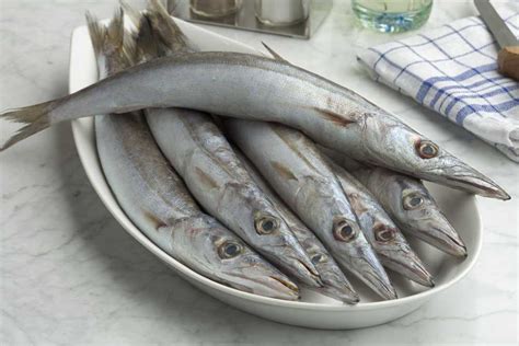 What Does Barracuda Taste Like? - Corrie Cooks