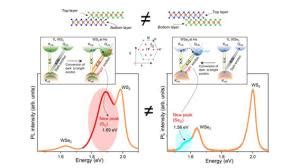 Discovery Of Dark Excitons In Heterojunction Materials Paves The Way