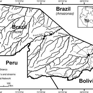 (PDF) Avifauna of the Upper Purus River, State of Acre, Brazil