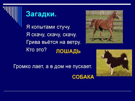20120304_kaleydoskop_uvidennyh_domashnih_zhivotnyh_i_ptic - презентация ...