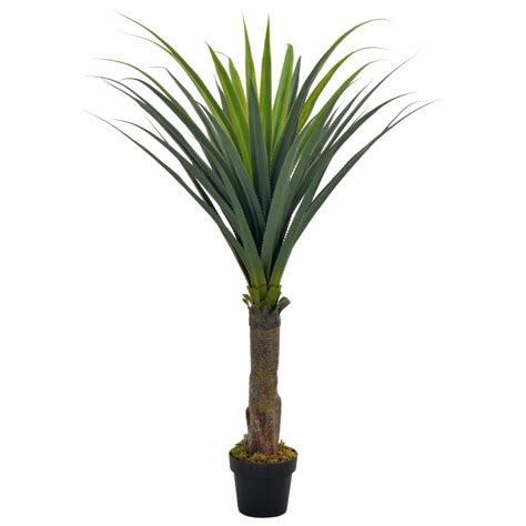 Plante Grasse Artificielle Yucca Wild Natur