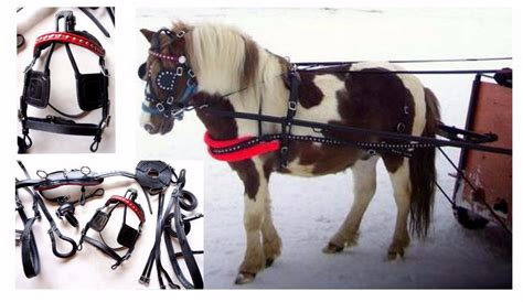 Mini Pony Cart for sale | Only 2 left at -75%