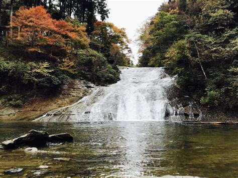 養老渓谷の紅葉はいつが見頃？ハイキングも楽しめるオススメの紅葉スポット！ Share Base Magazine（シェアベースマガジン）